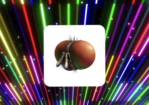R0blox toy code freaky fly - toy,