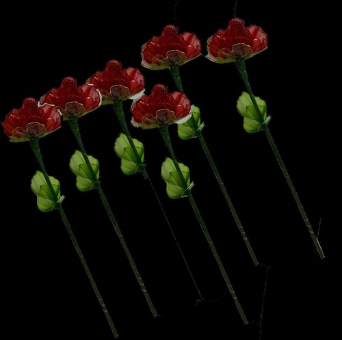 Rosa effetto vetro rosso - , per