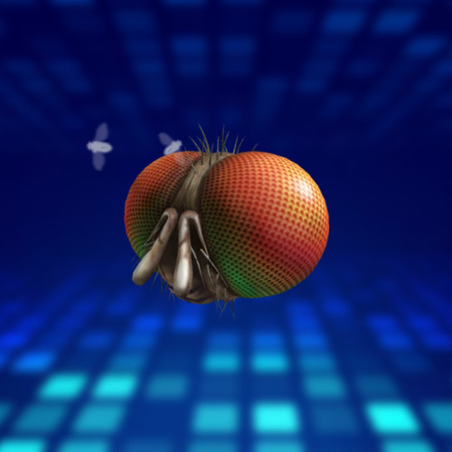 R0blox toy code freaky - freaky, fly